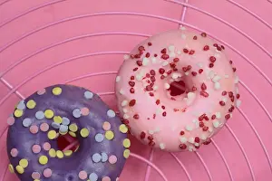 Decorative Donuts Prints: Donuts on wire rack, doughnut
