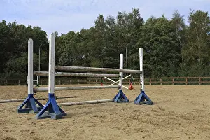 Horseback Riding Competition Prints: Double barrier in show jumping course