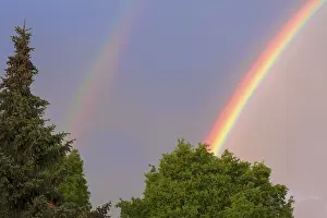 Southern Germany Weather Phenomenon Prints: Double rainbow, partial view, with trees