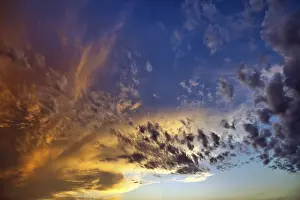 Cirrocumulus Clouds Prints: Dramatic, atmospheric cirrocumulus (Cirrocumulus) at sunset