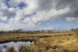 Dramatic Cloud Formation Prints: Dramatic clouds forming over a former peat bog