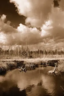 Cloudy Atmosphere Bavaria Prints: Dramatic clouds forming over a former peat bog