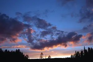 European Cloudy Skies Prints: Dramatic clouds at sunset over pine trees and forests