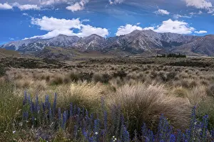 Dramatic Cloudscape Photography Prints: Dramatic cloudscape, mountain landscape and tussock grass