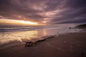 Evening Atmosphere Nature Reserve Prints: Dramatic cloudy sky at sunset, tree trunk on the beach
