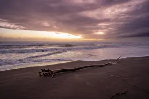 Tree Trunk On Beach Prints: Dramatic cloudy sky at sunset, tree trunk on the beach