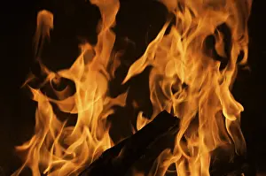 Plain Dark Colored Background Prints: Dramatic flames against A dark background