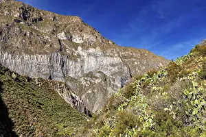 South American Scenery Prints: Dramatic mountain slopes under a deep blue sky with cacti in the foreground