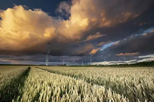 Stormy Weather In Europe Prints: Dramatic shower cloud at sunset over wheat field and windmills