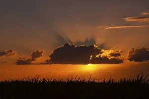 Mauritius Sunset Prints: Dramatic sunset behind clouds at Chebel