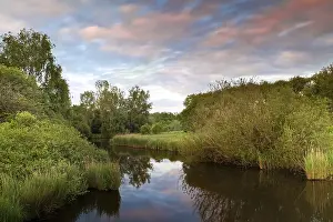Deserted River Scene Prints: Dramatic sunset over river between trees