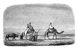 Deserted Landscape Drawing Prints: Drawing by Marilhat, for after his chart sets