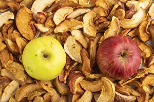 Dried Apples Prints: Dried Apples, texture, Top view