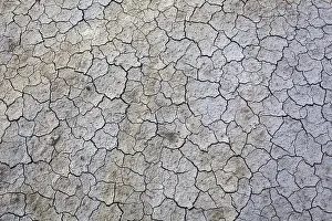 Tuscany Italy Landscape Prints: Dried clay surface, mudcracks in ground