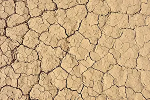 Dried Clay Surface Prints: Dried out clay surface of upper Ouksem crater
