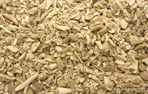 Homeopathic Remedies Prints: Dried diptam root, In former times