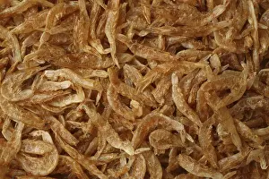 Prints of Dried krill, for backgrounds or textures Krill Prints: Dried Krill Print for Textures