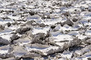 Namibia National Parks Prints: Dried mud patterns with cracks on the ground