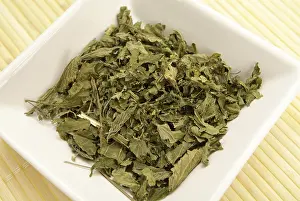 Alternative Medicine Plants Prints: Dried nettle