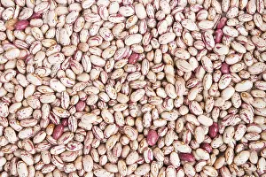 Close Up Bean Images Prints: Dried patterned beans
