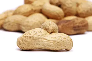 Bright Studio Shots Prints: Dried peanuts in closeup on a white background