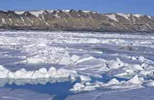 Winter In Scandinavia Prints: Drift ice in the Hinlopen Strait