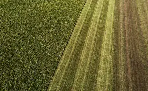 Upper Austria Landscape Photography Prints: Drone image, structure of a mown meadow