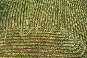 Agricultural Landscape In Upper Austria Prints: Drone image, structured mown meadow