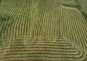 Agricultural Landscape In Upper Austria Prints: Drone image, structured mown meadow