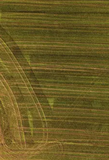 High Angle View Of Cultivated Area Prints: Drone image, Structured mown meadow with ruts
