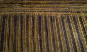 Aerial Landscape Photography Germany Prints: Drone image, structures on a mown field