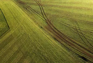 Drone View Of Agricultural Landscape Prints: Drone image, structures on a mown meadow with ruts