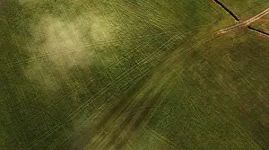 Agriculture Landscape Photo Prints: Drone image, structures on a mown meadow with ruts