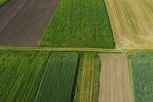 Upper Austria Agricultural Landscape Prints: Drone shot, meadow path with grain fields and harvested fields