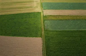 Upper Austria Agricultural Landscape Prints: Drone shot, meadow path with grain fields and harvested fields