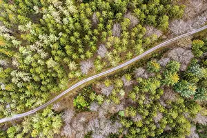 Swabian Forest Aerial Photography Prints: Drone shot, mixed forest in spring