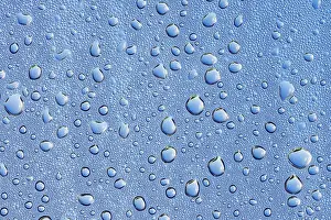 Dew Drop Germany Prints: Drops of water on a blue surface