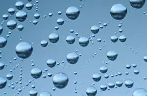 Water Droplets On Spider Web Prints: Drops of water in spider web