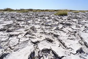 Etosha National Park Namibia Prints: Drought mud patterns with cracks