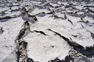 Etosha National Park Namibia Prints: Drought mud patterns with cracks on the ground