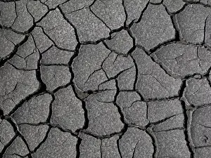 Environmental Pollution Damage Prints: Dry coal mud