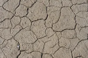 Spanish Desert Landscape Prints: Dry, cracked earth forms a textured pattern