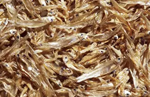 Dried Fish Prints: Dry fish