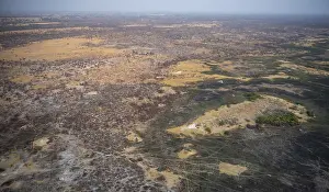 Prints of Dry season, structure and pattern of trails, burnt landscape, aerial view of the Okavango Delta, near Maun, Okavango Delta, Botswana Maun Prints: Dry Season Okavango Delta Aerial Print