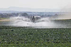 Deserted Farm Fields Prints: Dryness in the fields is causing problems for farmers and vegetable growers