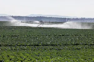 Southern Germany Countryside Prints: Dryness in the fields is causing problems for farmers and vegetable growers