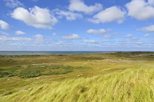 Dune Landscape Germany Prints: Dune landscape with blue clouds