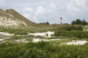 North Sea Island Landscape Prints: Dune landscape with lighthouse