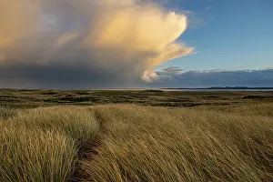 Dune Landscape Prints: Dune Landscape with Thundercloud