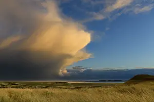 Dune Landscape Prints: Dune Landscape with Thundercloud